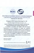 CNAS(English Version)